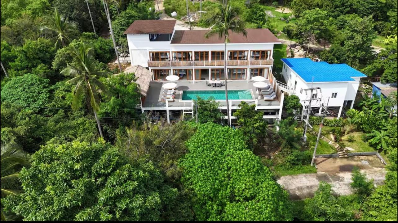 8 Bedroom Monkey 105